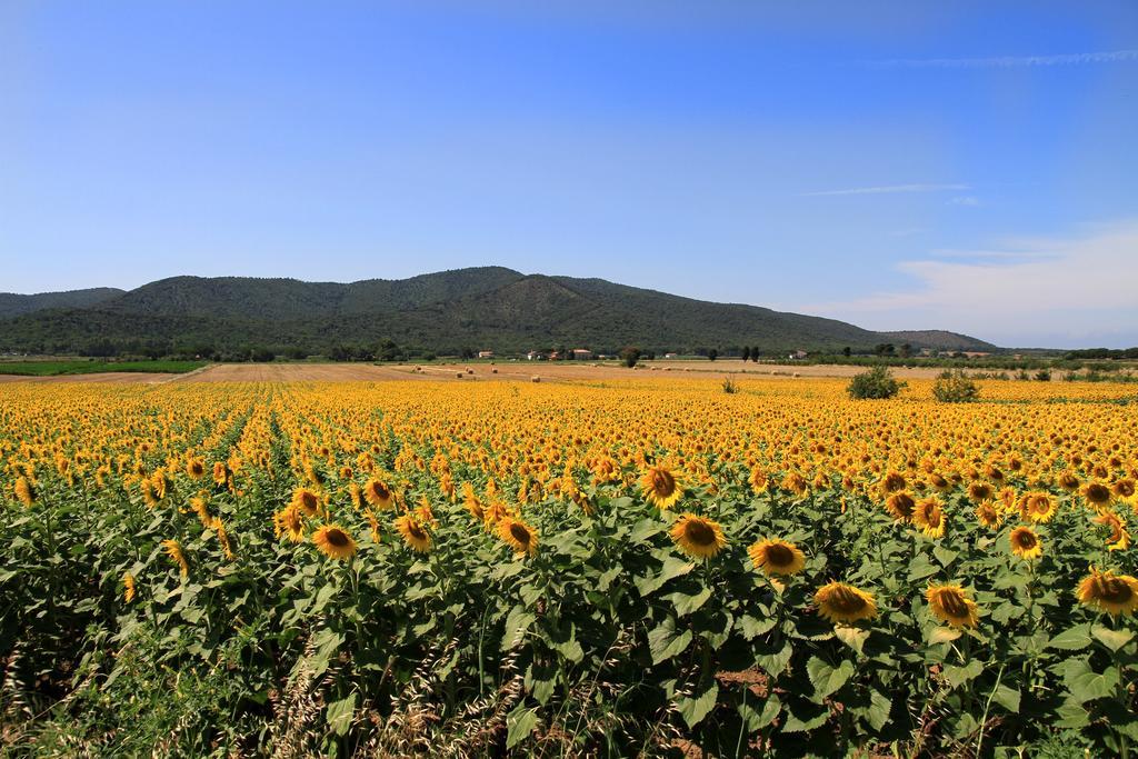 Appartamenti Pian D'Alma Udine Dış mekan fotoğraf